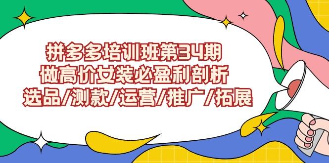 (9333期)拼多多培训班第34期：做高价女装必盈利剖析  选品/测款/运营/推广/拓展-策里行间