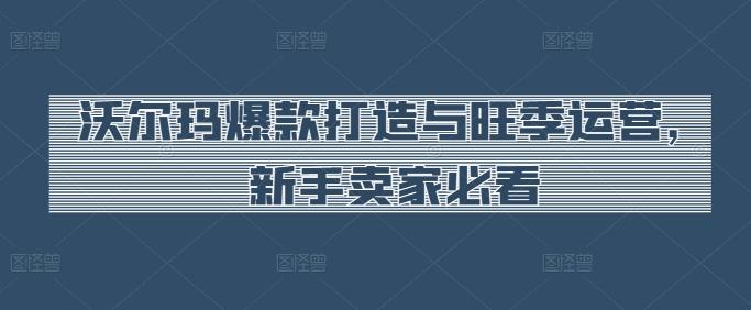 沃尔玛爆款打造与旺季运营，新手卖家必看-策里行间