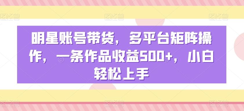 明星账号带货，多平台矩阵操作，一条作品收益500+，小白轻松上手【揭秘】-策里行间