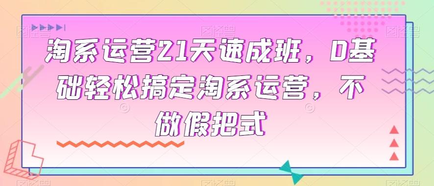 淘系运营21天速成班，0基础轻松搞定淘系运营，不做假把式-策里行间