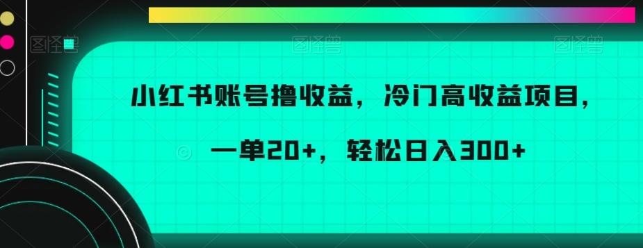 小红书账号撸收益，冷门高收益项目，一单20+，轻松日入300+【揭秘】-策里行间
