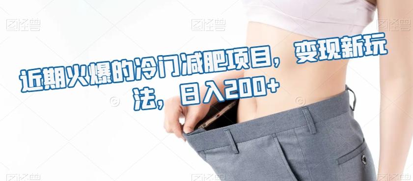 近期火爆的冷门减肥项目，变现新玩法，日入200+-策里行间