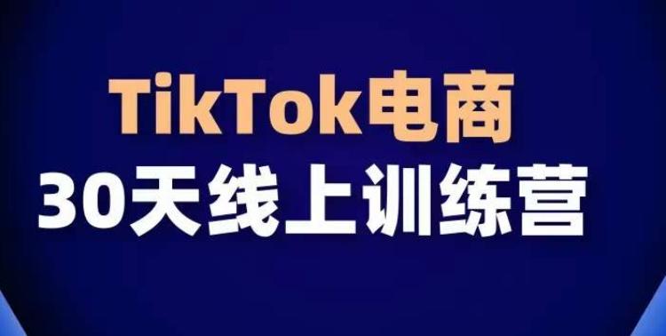 TikTok电商带货30天线上课，不可错过的全球流量洼地！-策里行间