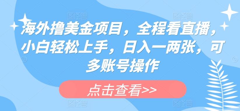 海外撸美金项目，全程看直播，小白轻松上手，日入一两张，可多账号操作【揭秘】-策里行间