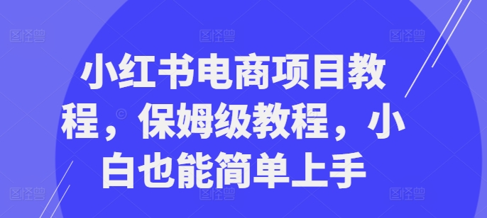 小红书电商项目教程，保姆级教程，小白也能简单上手-策里行间