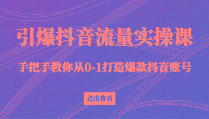 引爆抖音流量实操课，手把手教你从0-1打造爆款抖音账号(27节课)-策里行间