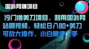 冷门撸美刀项目，利用国外网站刷视频，轻松日入80+美刀，可放大操作，小白随便上手-策里行间