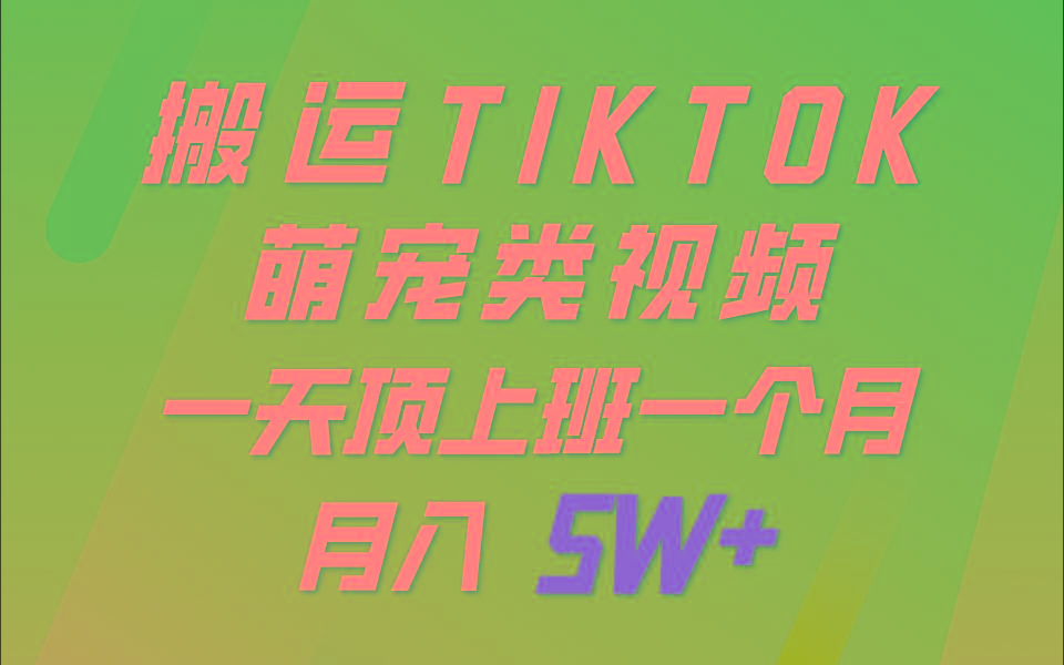 一键搬运TIKTOK萌宠类视频，一部手机即可操作，所有平台均可发布 轻松月入5W+-策里行间