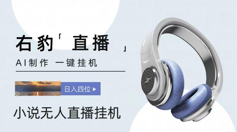 右豹小说无人直播挂机吸金项目，简单易行收益稳定， 月入1000+-策里行间