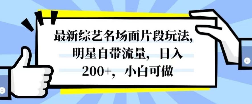 最新综艺名场面片段玩法，明星自带流量，日入200+，小白可做【揭秘】-策里行间