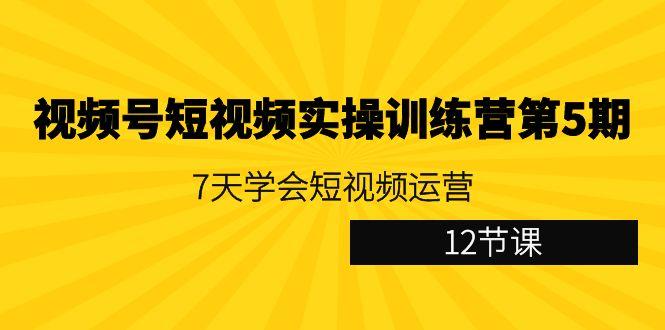 视频号短视频实操训练营第5期：7天学会短视频运营(12节课)-策里行间