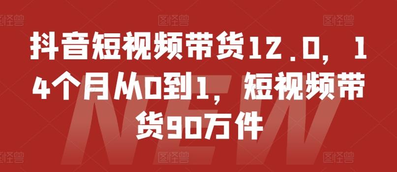 抖音短视频带货12.0，14个月从0到1，短视频带货90万件-策里行间
