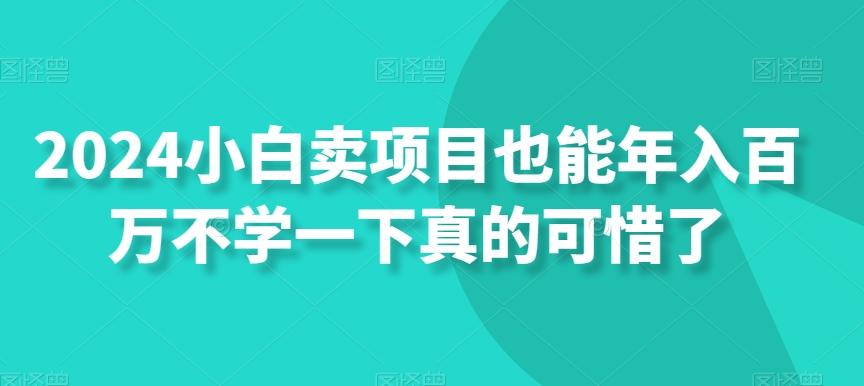 2024小白卖项目也能年入百万不学一下真的可惜了-策里行间