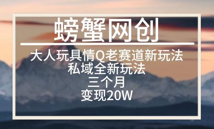 大人玩具情Q用品赛道私域全新玩法，三个月变现20W，老项目新思路【揭秘】-策里行间