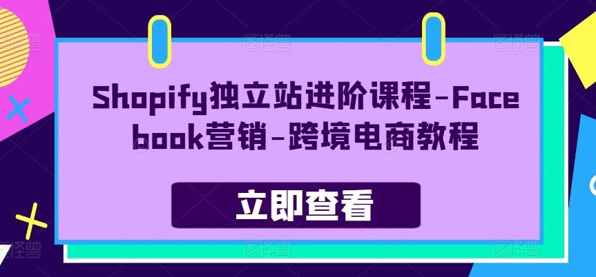 Shopify独立站进阶课程-Facebook营销-跨境电商教程-策里行间