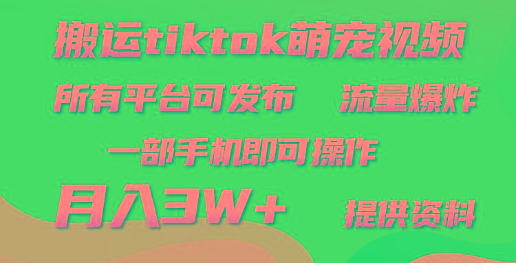 (9618期)搬运Tiktok萌宠类视频，一部手机即可。所有短视频平台均可操作，月入3W+-策里行间