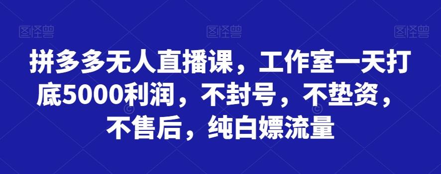 拼多多无人直播课，工作室一天打底5000利润，不封号，不垫资，不售后，纯白嫖流量-策里行间