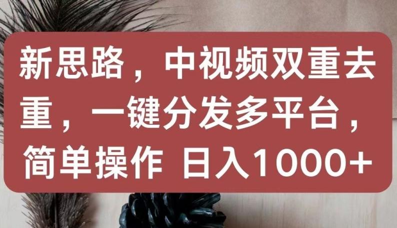 新思路，中视频双重去重，一键分发多平台，简单操作，日入1000+【揭秘】-策里行间