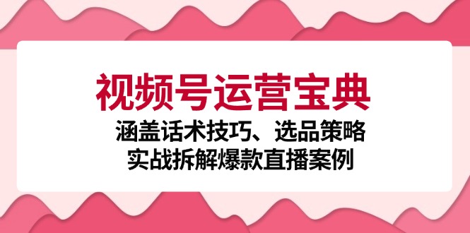 视频号运营宝典：涵盖话术技巧、选品策略、实战拆解爆款直播案例-策里行间