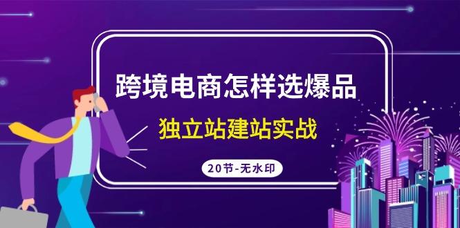 (9369期)跨境电商怎样选爆品，独立站建站实战(20节高清无水印课)-策里行间