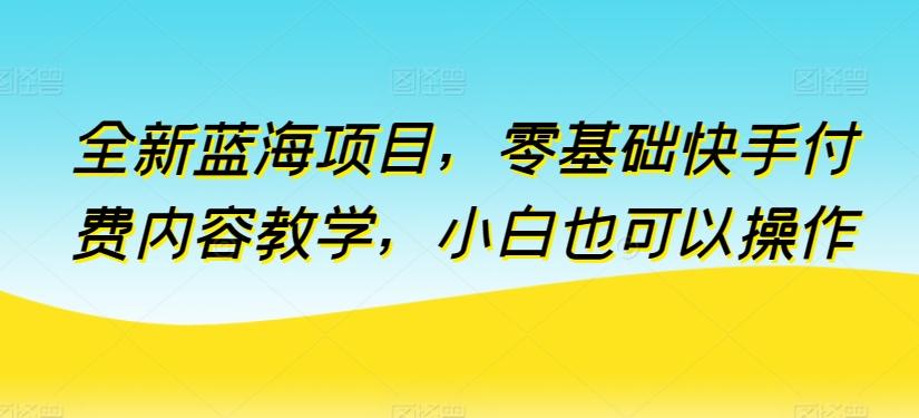 全新蓝海项目，零基础快手付费内容教学，小白也可以操作【揭秘】-策里行间