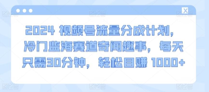 2024视频号流量分成计划，冷门监海赛道奇闻趣事，每天只需30分钟，轻松目赚 1000+【揭秘】-策里行间