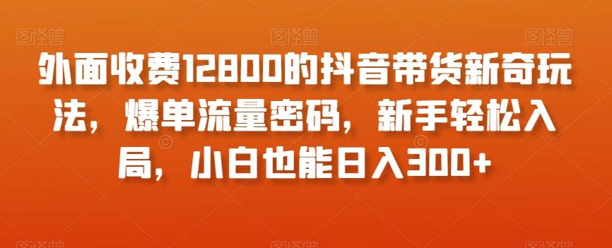 外面收费12800的抖音带货新奇玩法，爆单流量密码，新手轻松入局，小白也能日入300+【揭秘】-策里行间