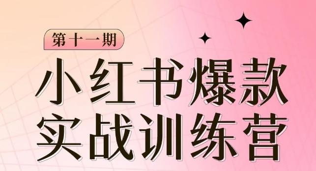 小红书博主爆款训练营第11期，手把手教你从0-1做小红书，从定位到起号到变现-策里行间
