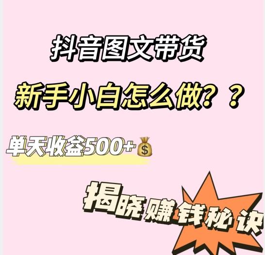 抖音图文带货，新手小白怎么做？单天收益500+【揭秘赚钱秘诀】-策里行间