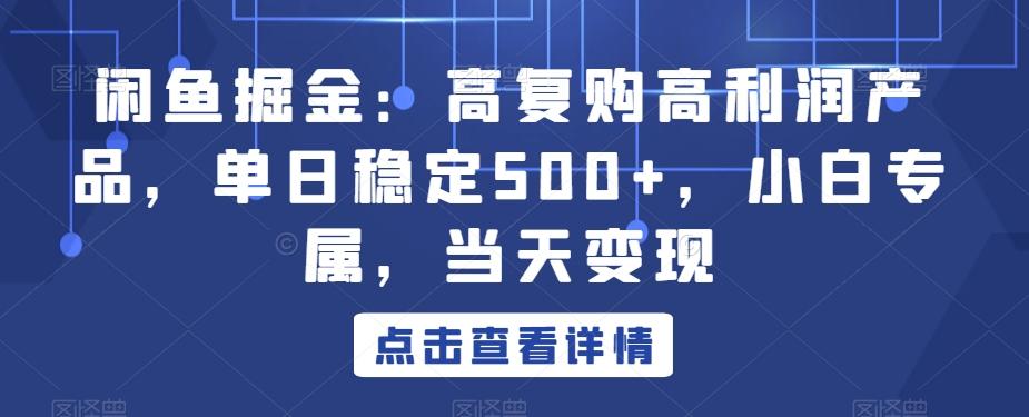 闲鱼掘金：高复购高利润产品，单日稳定500+，小白专属，当天变现-策里行间
