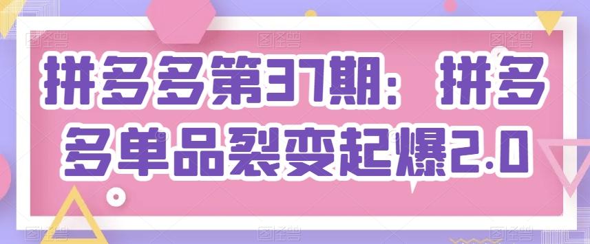 拼多多第37期：拼多多单品裂变起爆2.0-策里行间