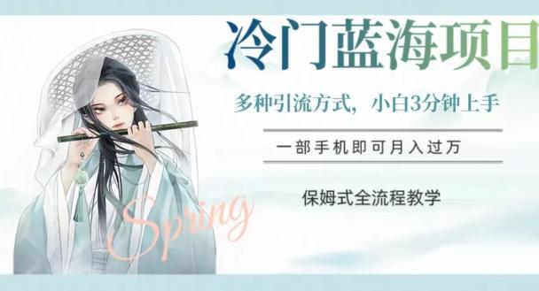 冷门蓝海项目，操作简单，小白3分钟上手，多种引流方式，保姆式全流程教学【揭秘】-策里行间