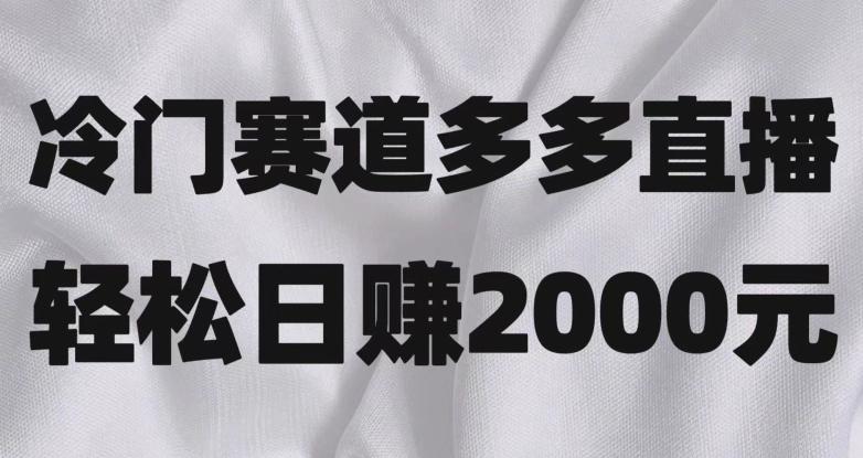 冷门赛道拼多多直播，简单念稿子，日收益2000＋【揭秘】-策里行间