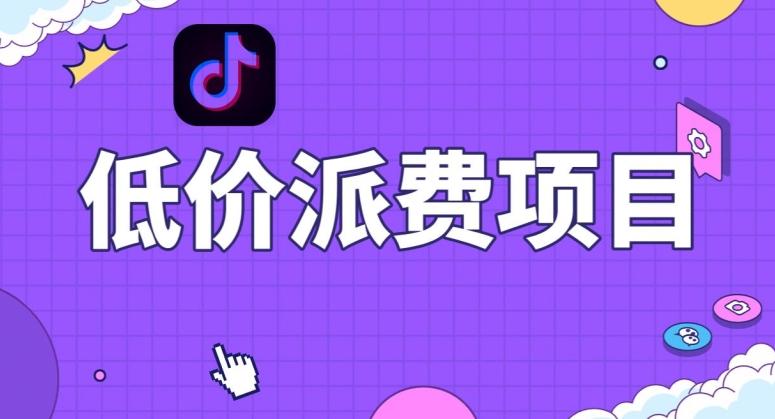 抖音低价派单项目，0门槛，日入1000+很轻松，小白可操作【揭秘】-策里行间