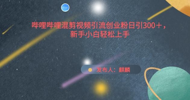 哔哩哔哩混剪视频引流创业粉日引300+，新手小白轻松上手【揭秘】-策里行间