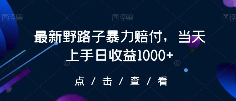 最新野路子暴力赔付，当天上手日收益1000+【仅揭秘】-策里行间