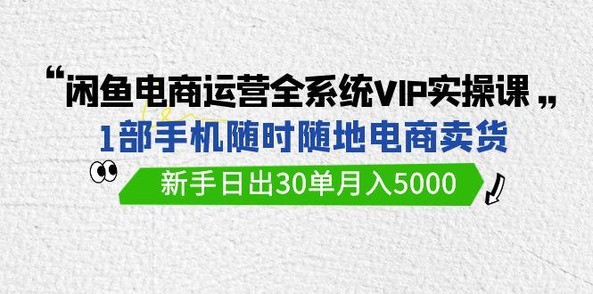 (9547期)闲鱼电商运营全系统VIP实战课，1部手机随时随地卖货，新手日出30单月入5000-策里行间