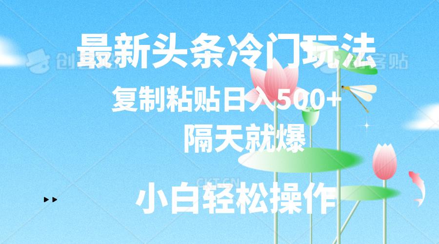 最新头条冷门玩法，隔天就爆，复制粘贴日入500+-策里行间