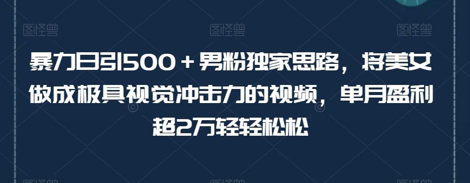 暴力日引500＋男粉独家思路，将美女做成极具视觉冲击力的视频，单月盈利超2万轻轻松松-策里行间