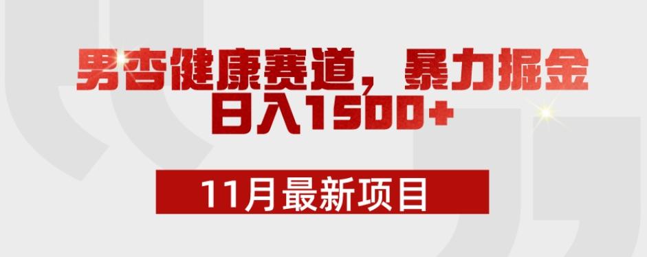 11月最新项目，男杏健康赛道，暴力掘金，日入1500+-策里行间