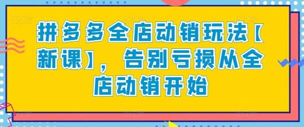 拼多多全店动销玩法【新课】，告别亏损从全店动销开始-策里行间