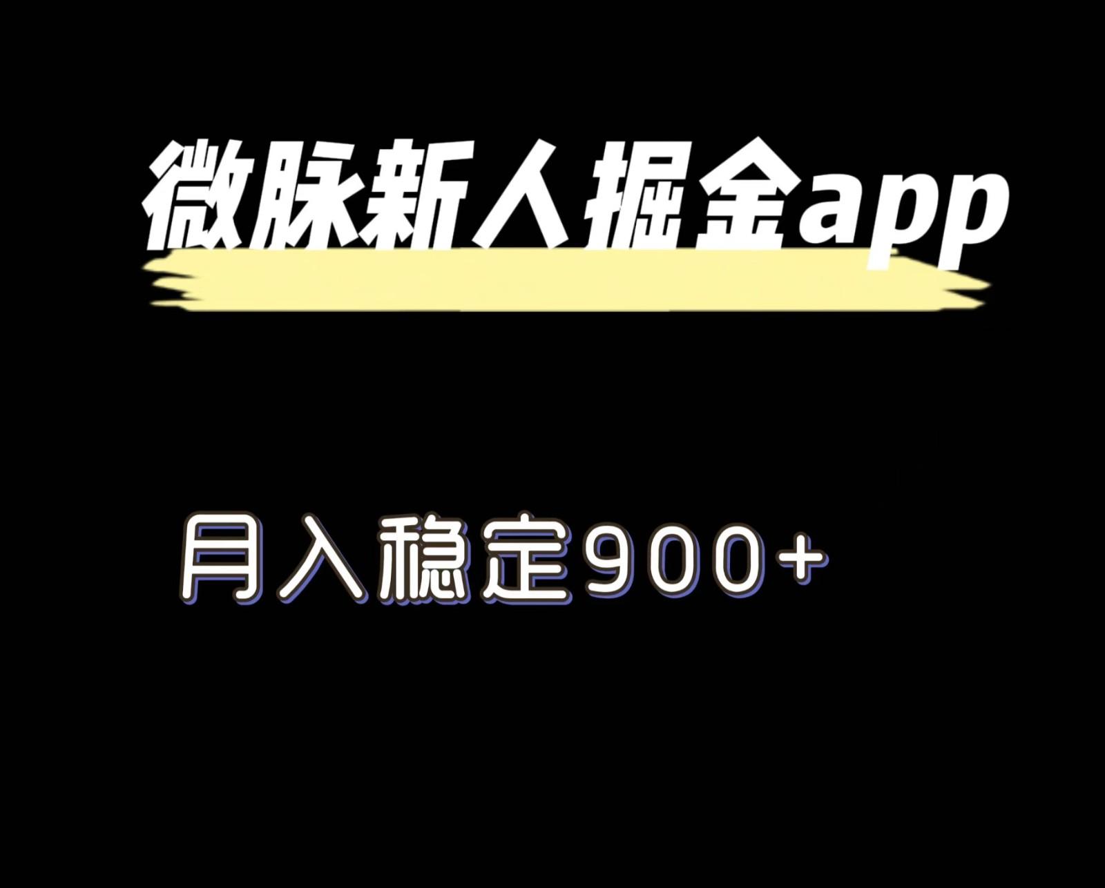 最新微脉长久项目，拉新掘金，月入稳定900+-策里行间