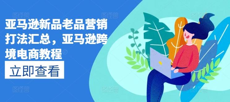 亚马逊新品老品营销打法汇总，亚马逊跨境电商教程-策里行间