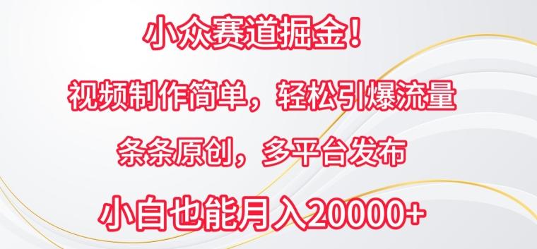小众赛道掘金，视频制作简单，轻松引爆流量，条条原创，多平台发布【揭秘】-策里行间