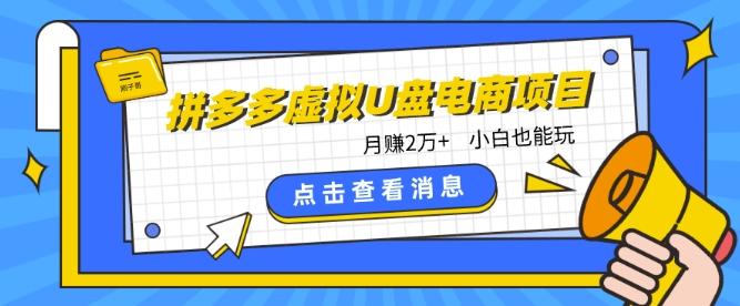 拼多多虚拟U盘电商红利项目：月赚2万+，新手小白也能玩-策里行间