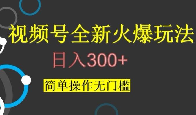 视频号最新爆火玩法，日入300+，简单操作无门槛【揭秘】-策里行间