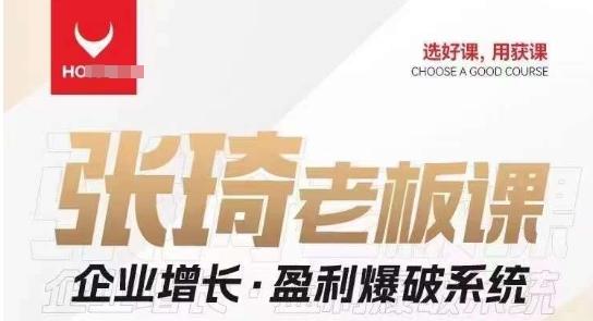 【组合课】张琦张琦老板企业增长·盈利爆破系统（直播专享）-策里行间