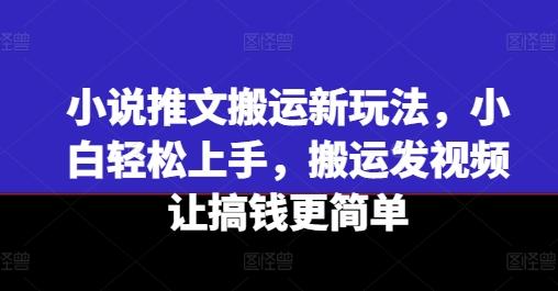 小说推文搬运新玩法，小白轻松上手，搬运发视频让搞钱更简单-策里行间