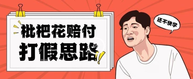 最新打假原料枇杷花赔付玩法一单收益1000+小白轻松下车【详细视频玩法教程】【仅揭秘】-策里行间