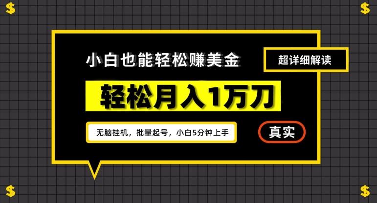 谷歌看广告撸美金2.0，无脑挂机，多号操作，月入1万刀【揭秘】-策里行间